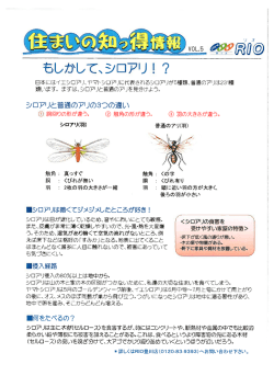 らしかして、シ グリ! ?