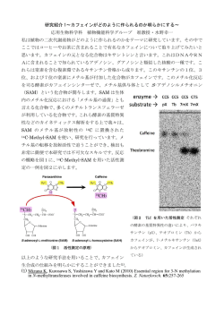 研究紹介 1〜カフェインがどのように作られるのか明らかにする〜 応用
