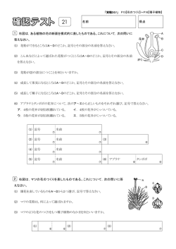 ポイント21