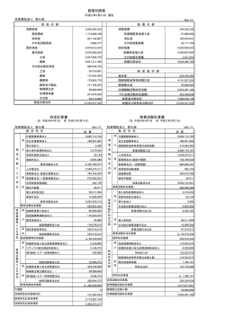 貸借対照表 収支計算書 事業活動計算書