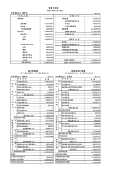貸借対照表 収支計算書 事業活動計算書