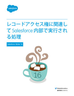 レコードアクセス権に関連して Salesforce 内部で実行