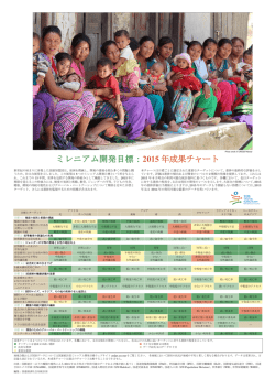 ミレニアム開発目標：2015 年成果チャート