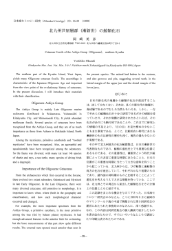 北九州芦屋層群（漸新世）の鯨類化石