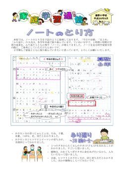 ・ ・ ・ ・ ・ 全部、ヒマワリとホウセンカが、同じ育ち方だとわかりま した