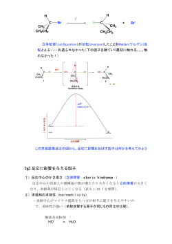 05 SN2に影響を与える因子（04とほぼ同じ内容）