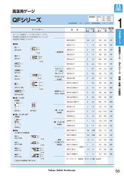 QFシリーズ高温用ゲージPDF