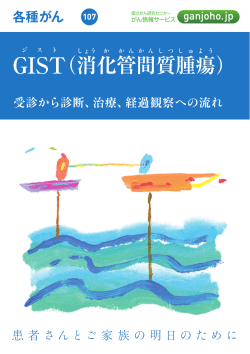 IST（消 化 管 間 質 腫 瘍 ）