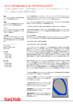 ライトニング&reg; 6Gb SAS エンタープライズフラッシュドライブ より高い性能