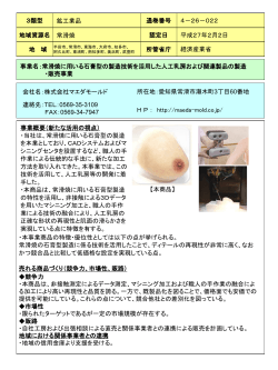 常滑焼に用いる石膏型の製造技術を活用した人工乳房および関連製品の