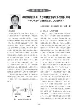 核磁気共鳴法を用いる分子運動状態解析法の開発と応用