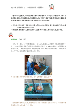 良い種を用意する ～温湯消毒・浸種～
