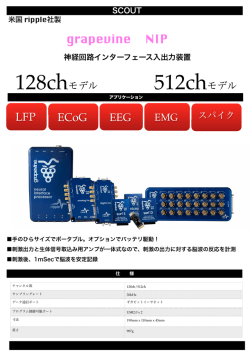 grapevine NIP カタログ