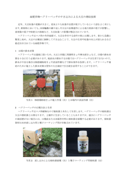 緑肥作物ヘアリーベッチのすき込みによる大豆の増収技術