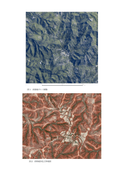 図1 高取城オルソ画像 図2 高取城赤色立体地図