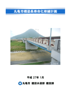 丸亀市橋梁長寿命化修繕計画