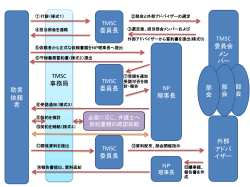 助言 依頼 者 TMSC 事務局 TMSC 委員長 TMSC 委員会 メン バー 部