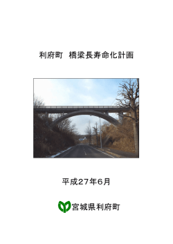 利府町橋梁長寿命化計画（平成27年度）