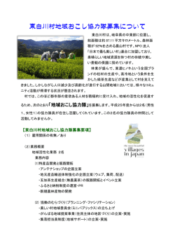 東白川村地域おこし協力隊募集について