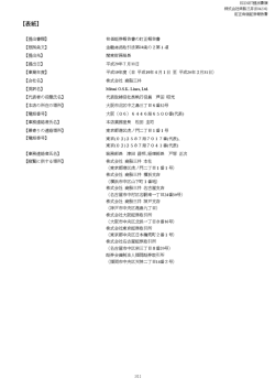 有価証券報告書訂正報告書 (2009.07.11)