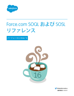 Force.com SOQL および SOSL リファレンス
