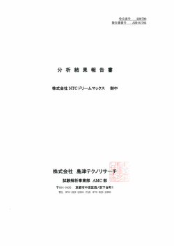 分析結果報告 - 株式会社NTCドリームマックス