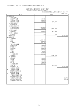 活動予算書ー設立時 平成28年度