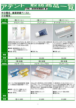 中分類名： 小分類名： 歯面研磨ペースト
