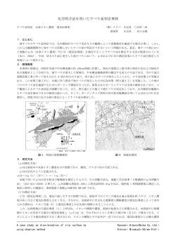 化学的手法を用いたすべり面判定事例
