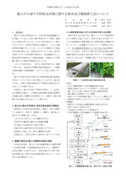 盛土のり面の予防保全対策に関する排水及び補強新工法について