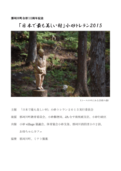 「日本で最も美しい村」小砂トレラン2015