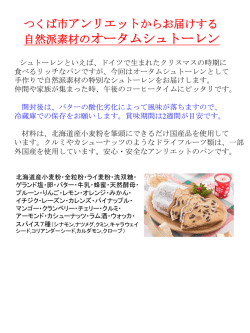 自然派素材のオータムシュトーレン