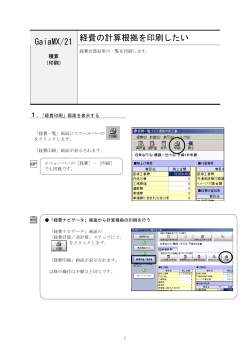 経費の計算根拠を印刷したい GaiaMX/21