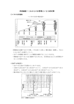 再度確認！これからの水管理といもち病対策
