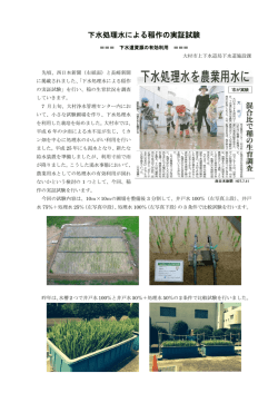 下水処理水による稲作の実証試験