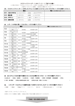 「日立キャピタルレポート2015」アンケート(97KB