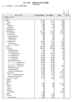 資金収支当初予算書 (PDF形式 KB)