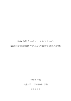 FePt 内包カーボンナノカプセルの 構造および磁気特性に与える雰囲気