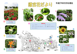 + 花の庭園 F．ヒマワリ G．クレオメ H．ｼﾞﾆｱ・ﾌﾟﾛﾌｭｰｼﾞｮﾝ ノカンゾウ （ワ