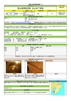 No.49館山海軍航空隊赤山地下壕跡（PDF：950KB）