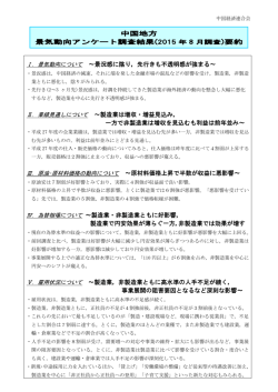 概要版