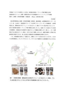 芳香族バイオマスを原料と した安全 ・ 高性能な抗菌