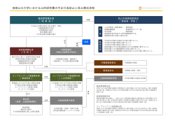 公的研究費の不正行為防止に係る責任体制（pdf形式