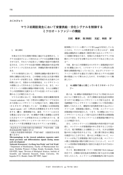 マウス初期胚発生において栄養供給・分化シグナルを制御する ミクロ