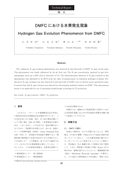 DMFC における水素発生現象