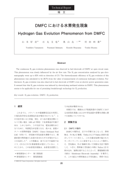 DMFC における水素発生現象