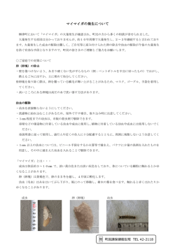 マイマイガの発生について マイマイガの発生について