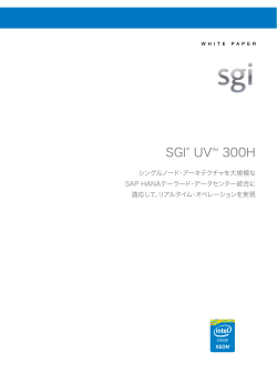 SGI® UV™ 300H シングルノード・アーキテクチャを大規模な