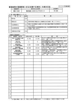 審査結果の指摘事項 (訂正を要する項目) の表示方法