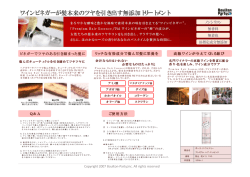 ワインビネガーが髪本来のツヤを引き出す無添加トリートメント